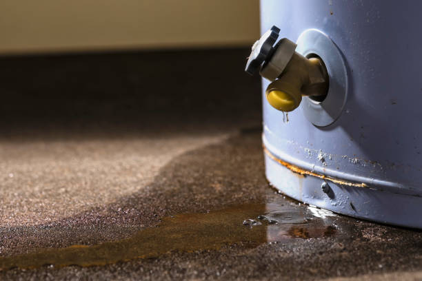 Best Sewage cleanup and water damage restoration  in Hebbronville, TX