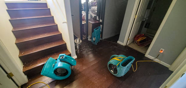 Best Fire Damage Restoration  in Hebbronville, TX