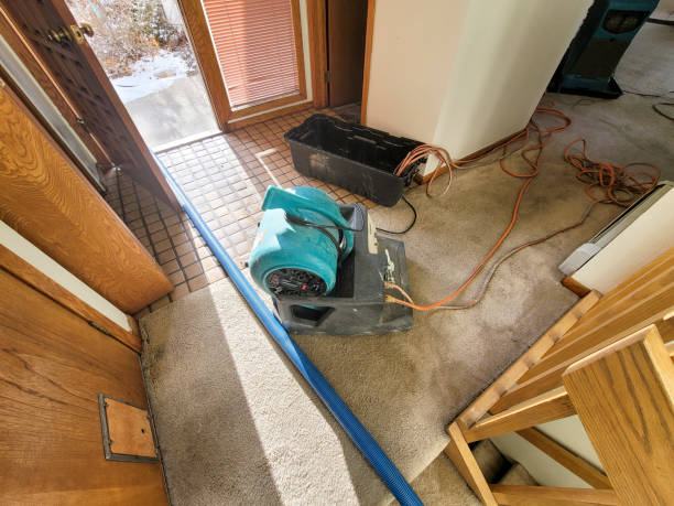 Best Fire Damage Restoration  in Hebbronville, TX