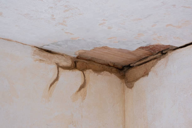 Best Emergency water damage restoration  in Hebbronville, TX