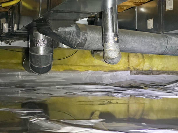 Best Residential water damage restoration  in Hebbronville, TX