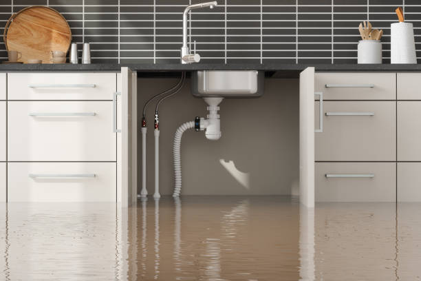 Best Water damage contractors near me  in Hebbronville, TX